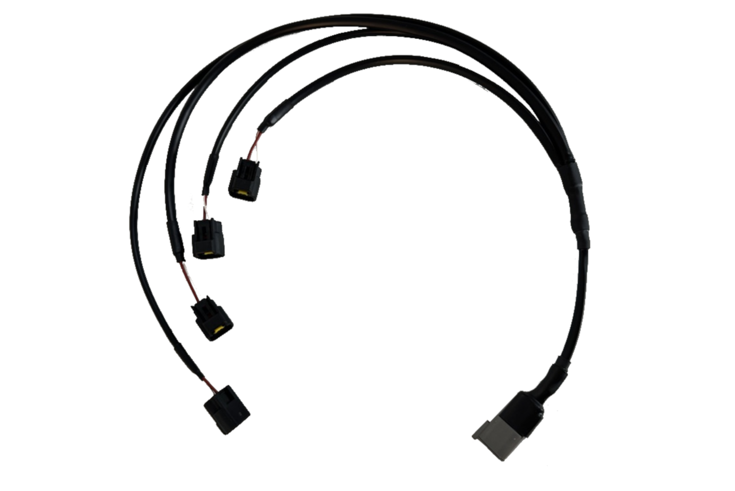 Motorsport Electronics Duratec Coil On Plug Harness